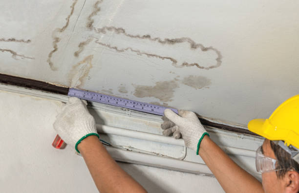 Reliable Mold Remediation contractor in Oxford, MA by Water Damage Irwin